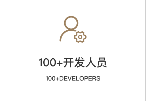 100+开发人员